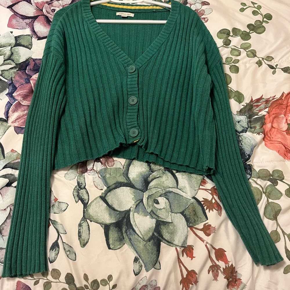 American Eagle Green Long sleeve sweater